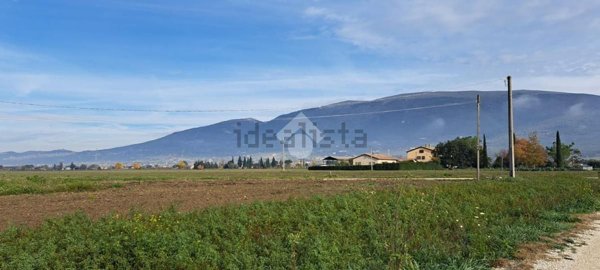 casa indipendente in vendita a Spello