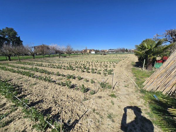 terreno agricolo in vendita a Spello