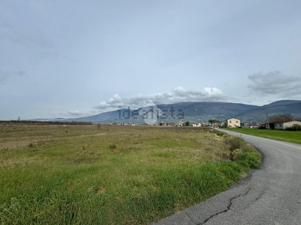 terreno agricolo in vendita a Spello