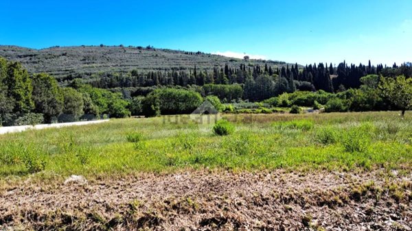 terreno agricolo in vendita a Spello