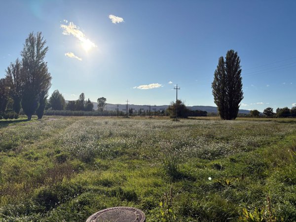 terreno agricolo in vendita a Spello