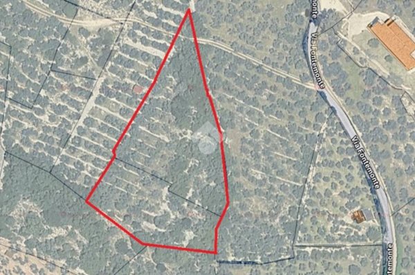 terreno agricolo in vendita a Spello