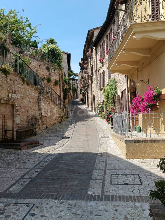 appartamento in vendita a Spello