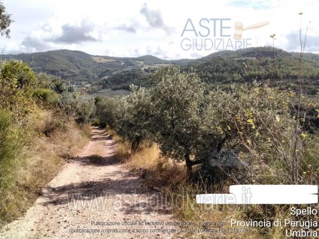 terreno edificabile in vendita a Spello