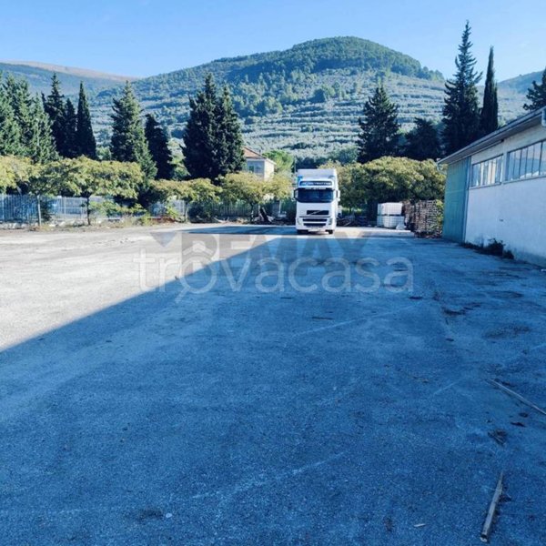 negozio in vendita a Spello