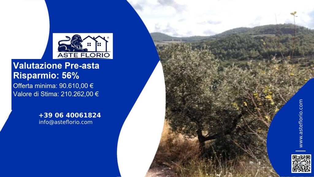 terreno agricolo in vendita a Spello in zona Collepino