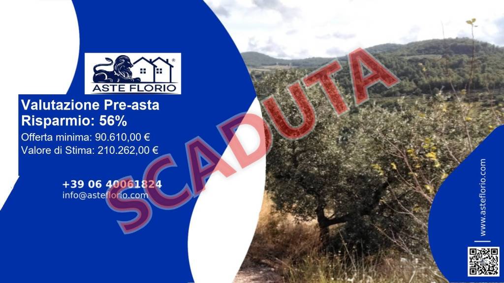 terreno agricolo in vendita a Spello in zona Collepino