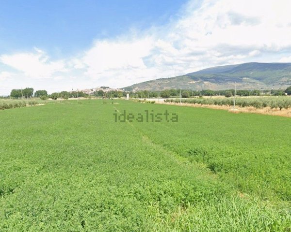 terreno agricolo in vendita a Spello in zona Capitan Loreto