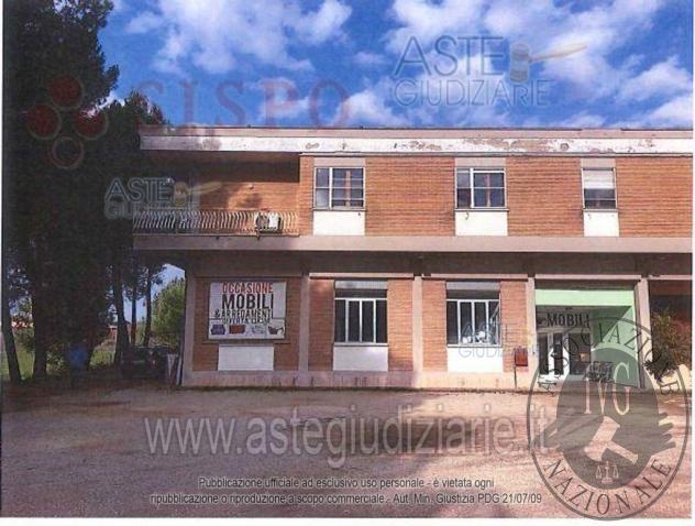 negozio in vendita a Spello