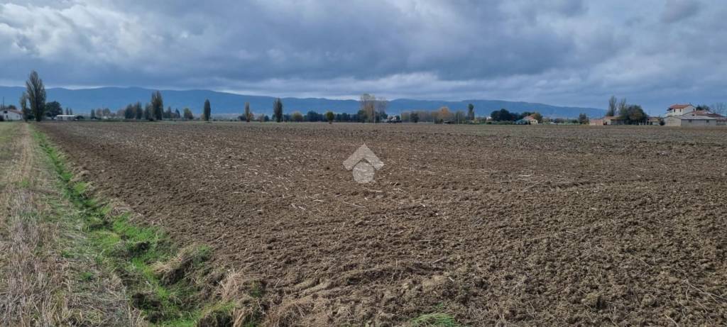 terreno agricolo in vendita a Spello