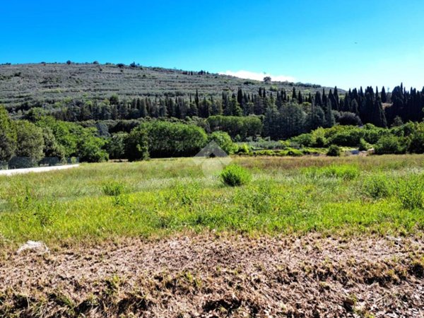 terreno agricolo in vendita a Spello