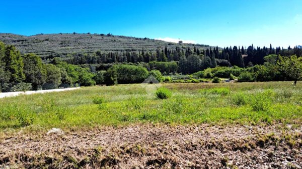 terreno agricolo in vendita a Spello
