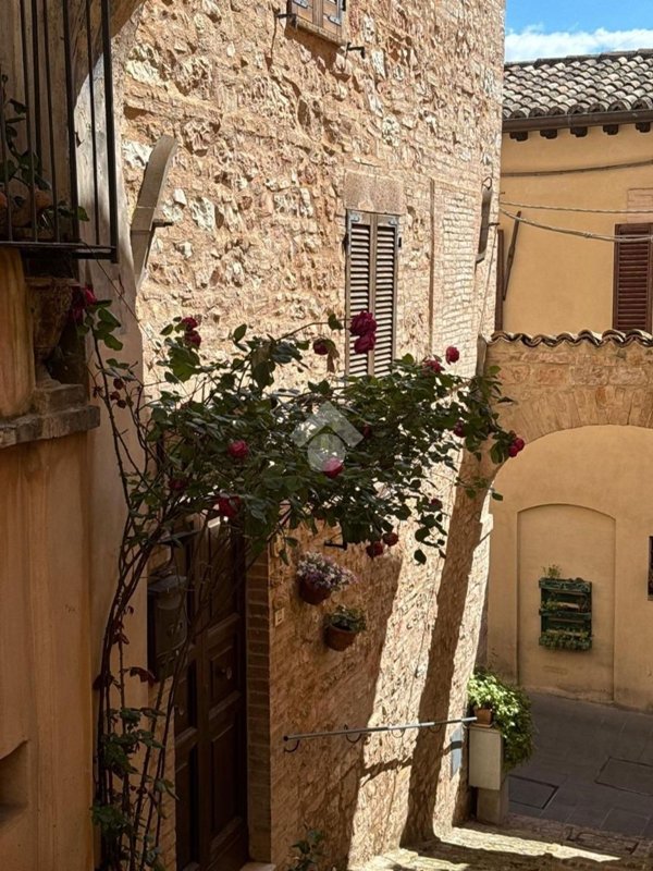 casa indipendente in vendita a Spello