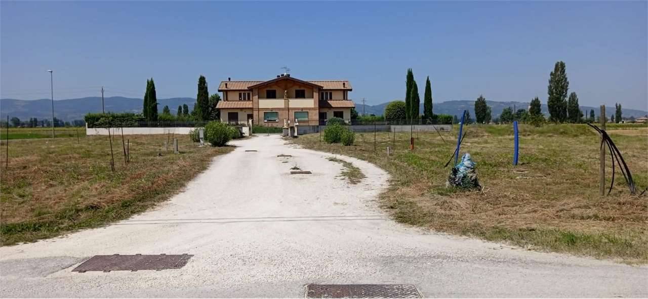 terreno in vendita a Spello in zona Limiti