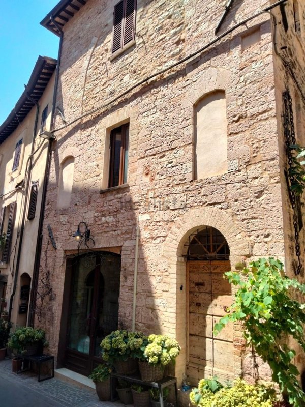 esavano in vendita a Spello
