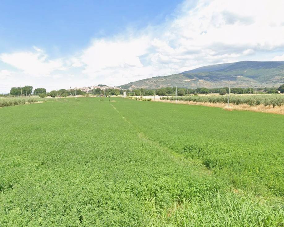terreno agricolo in vendita a Spello in zona Capitan Loreto