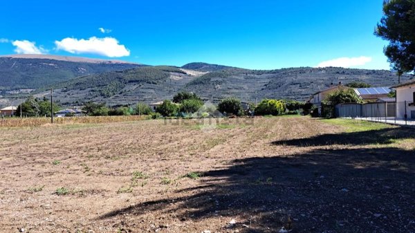 terreno agricolo in vendita a Spello in zona Capitan Loreto