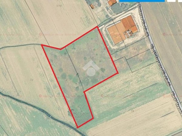 terreno agricolo in vendita a Spello in zona Limiti