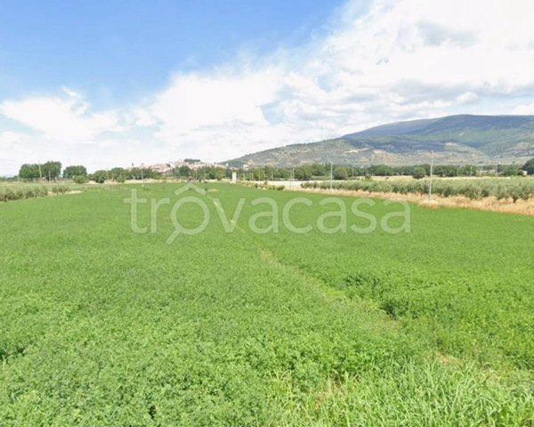 terreno agricolo in vendita a Spello in zona Capitan Loreto