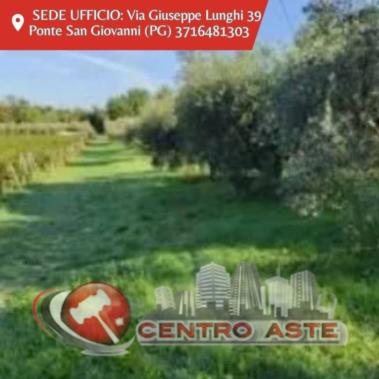 casa indipendente in vendita a Spello in zona Capitan Loreto