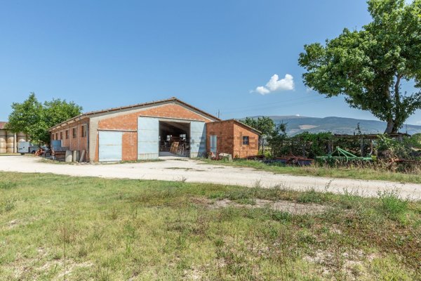 esavano in vendita a Spello in zona Acquatino