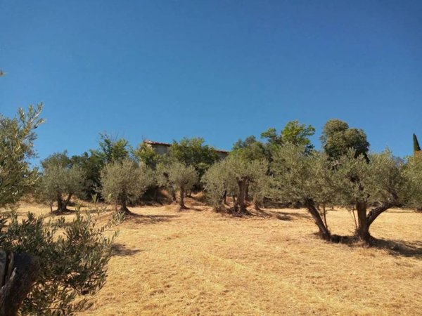 terreno in vendita a Spello