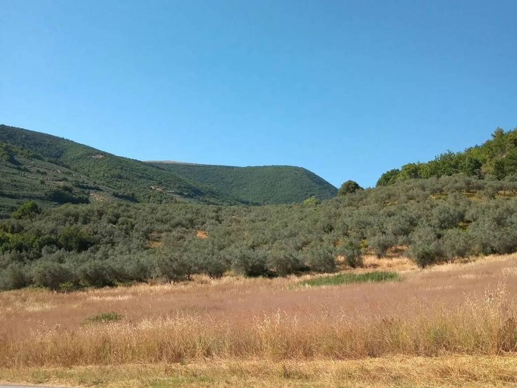 terreno in vendita a Spello