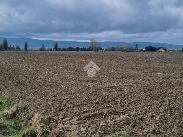 terreno in vendita a Spello