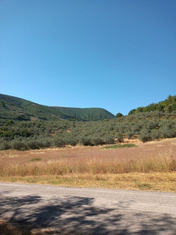 terreno agricolo in vendita a Spello