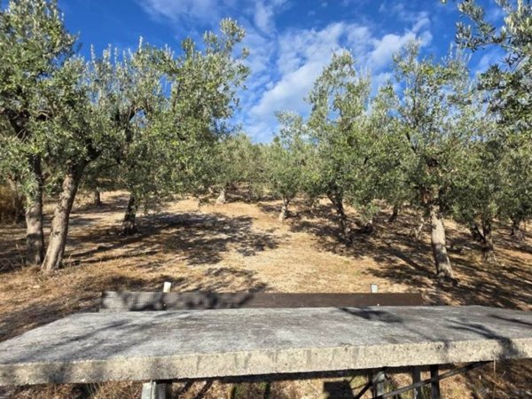 terreno in vendita a Spello