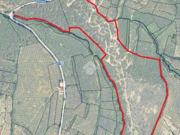 terreno in vendita a Spello