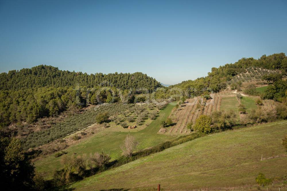 casa indipendente in vendita a Spoleto