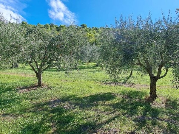 terreno agricolo in vendita a Spoleto in zona Eggi