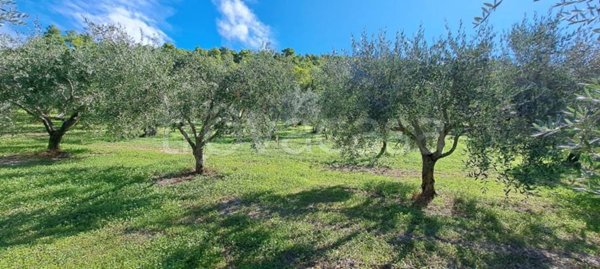 terreno agricolo in vendita a Spoleto