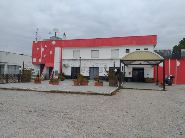 terreno agricolo in vendita a Spoleto