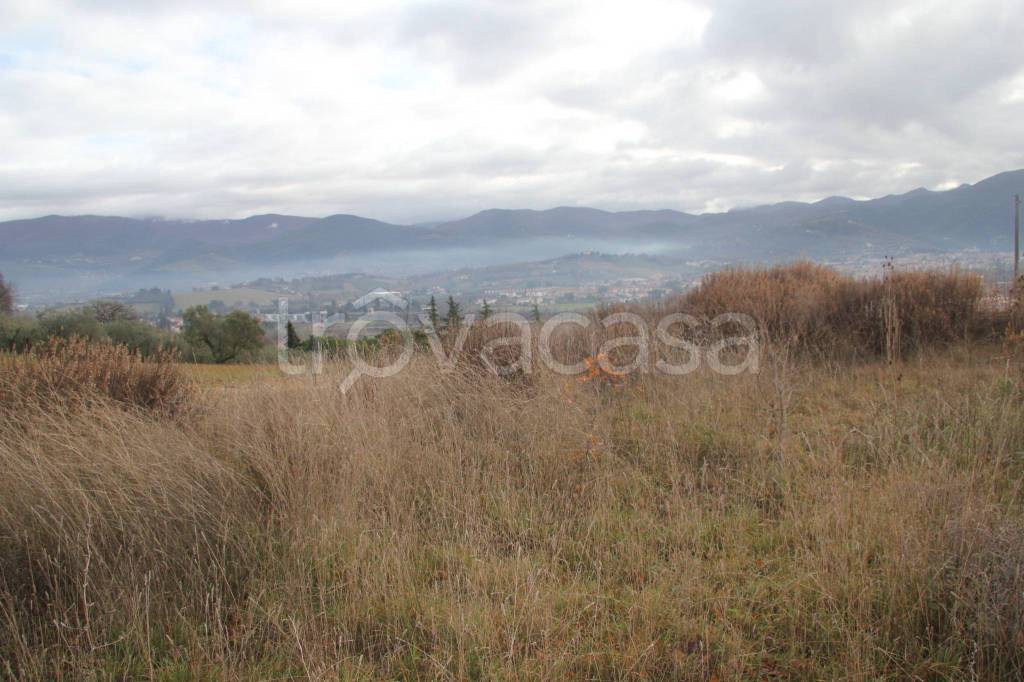 casa indipendente in vendita a Spoleto