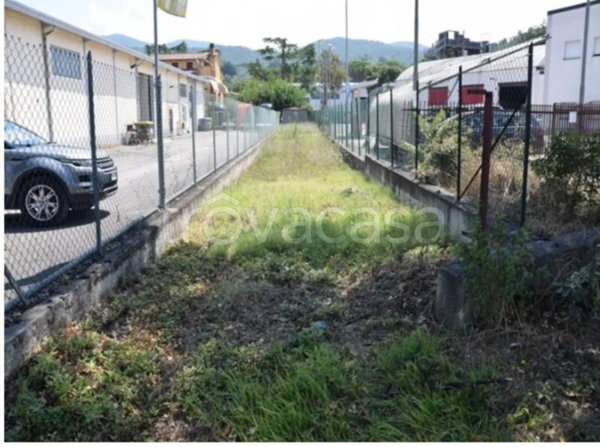 terreno agricolo in vendita a Spoleto