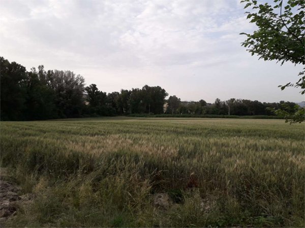 terreno agricolo in vendita a Spoleto