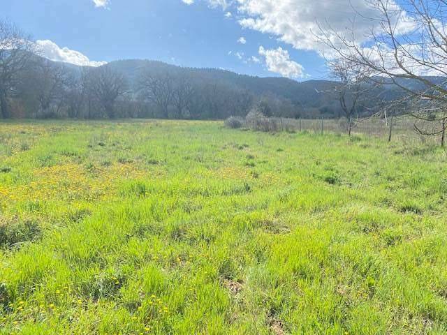 terreno agricolo in vendita a Spoleto in zona Cortaccione