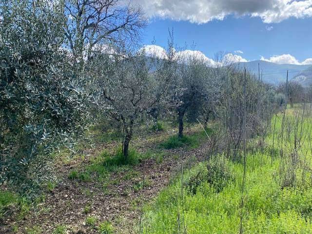 terreno agricolo in vendita a Spoleto in zona Cortaccione