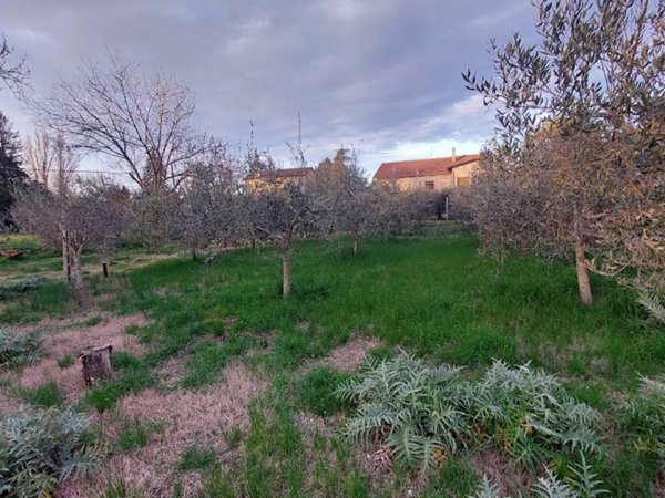 terreno agricolo in vendita a Spoleto in zona Santo Chiodo