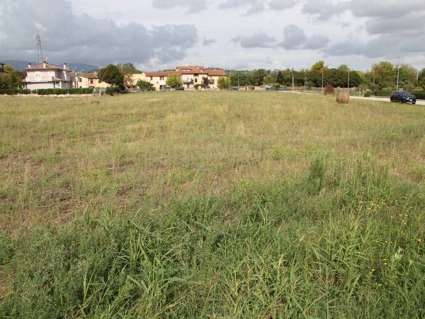 terreno agricolo in vendita a Spoleto in zona Pontebari