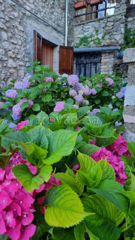 casa indipendente in vendita a Spoleto in zona Montebibico