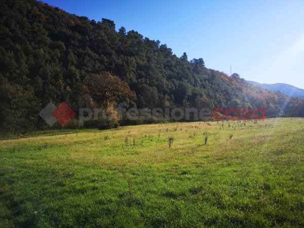 terreno agricolo in vendita a Spoleto