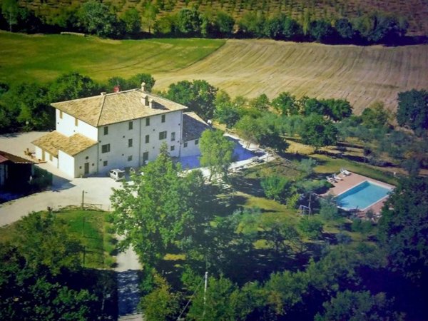 negozio in vendita a Spoleto