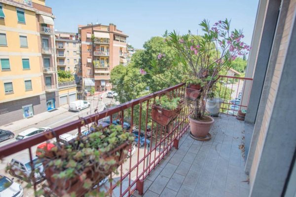appartamento in vendita a Spoleto