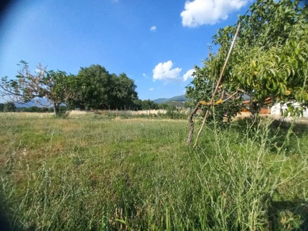 terreno agricolo in vendita a Spoleto