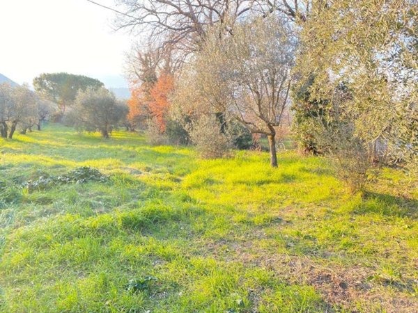 terreno edificabile in vendita a Spoleto