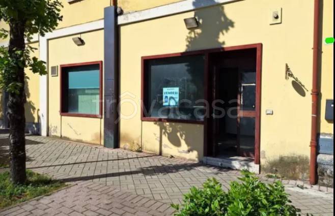negozio in vendita a Spoleto
