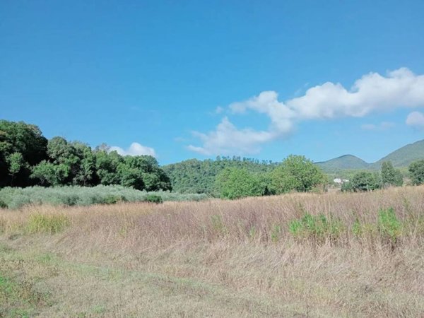 terreno agricolo in vendita a Spoleto